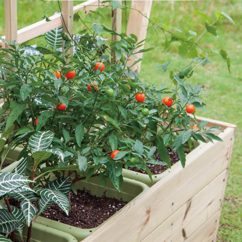 f3dce9afd7a980e3c2896b66dc8e115b