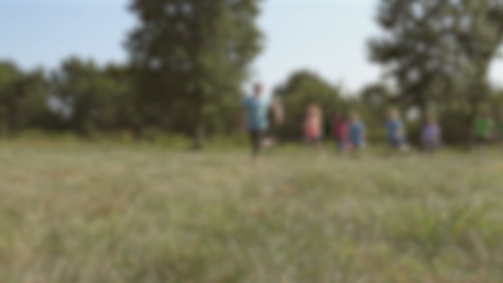 Drewniany Plac Zabaw Skyfort Elite Backyard Discovery Ze zjeżdżalnią, Huśtawkami i Domkiem